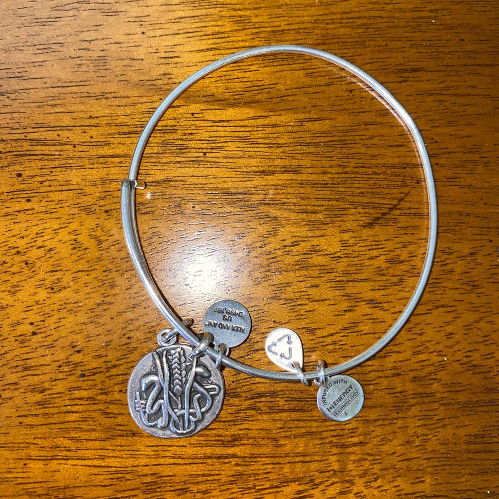 Alex and Ani Bangle